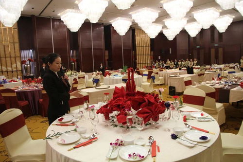 服務之美，匠心之魂——探訪酒店學院會展服務專業風采